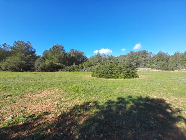 House in Sant Josep de sa Talaia - view 1