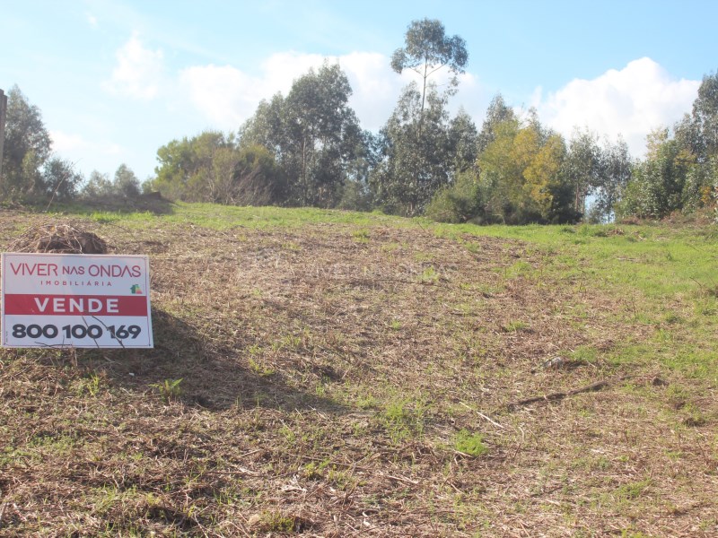 Land in Couto (Sao Miguel) - Image 3