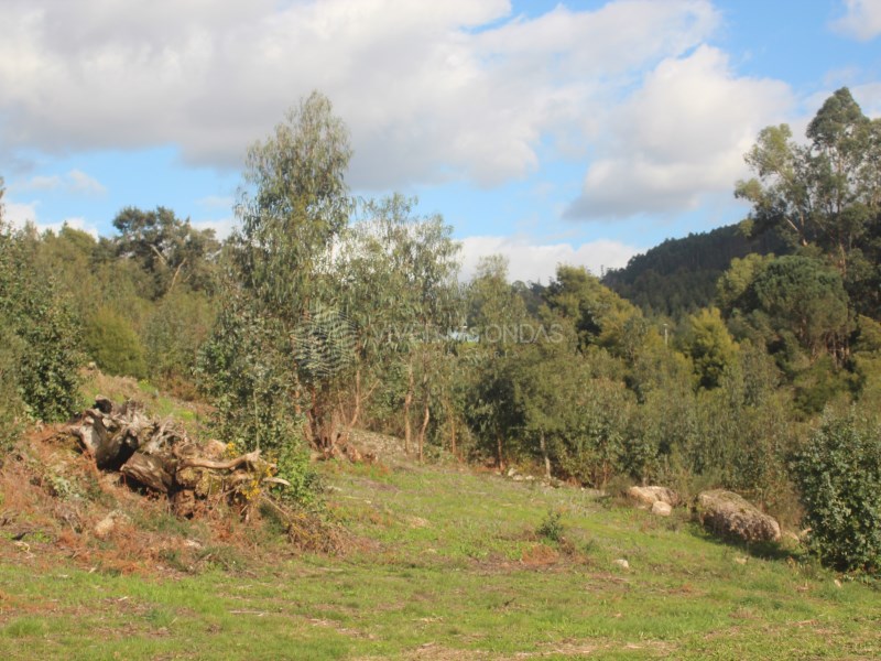 Land in Couto (Sao Miguel)
