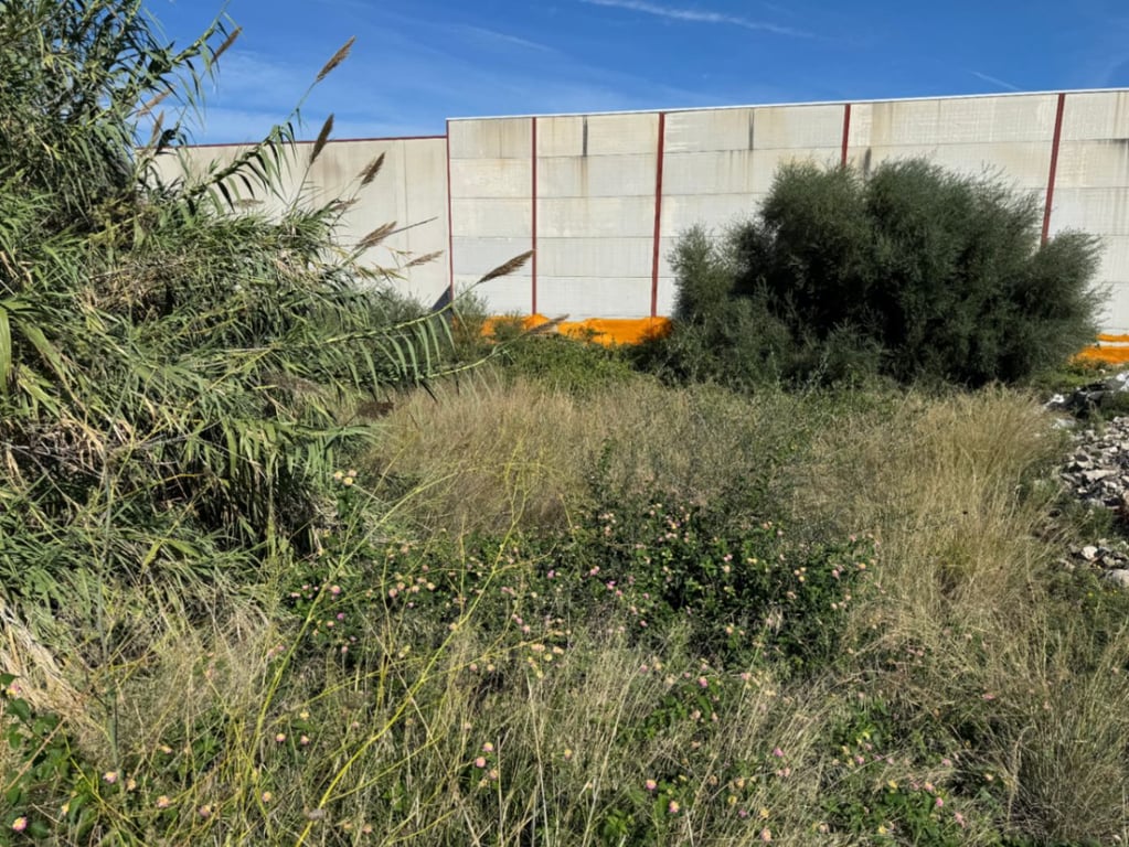 Land in Pego - Image 3