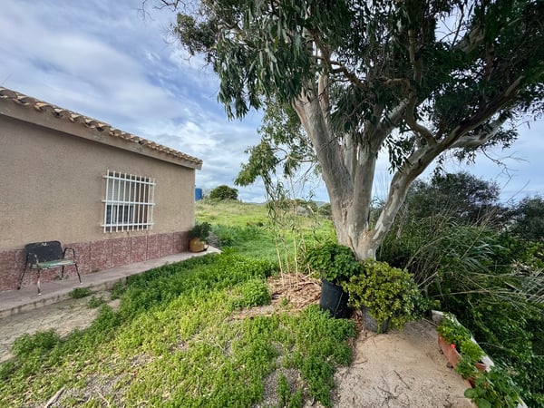 Villa in Los Belones - view 1