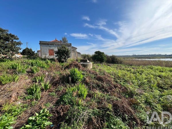 Land in Sado - view 1