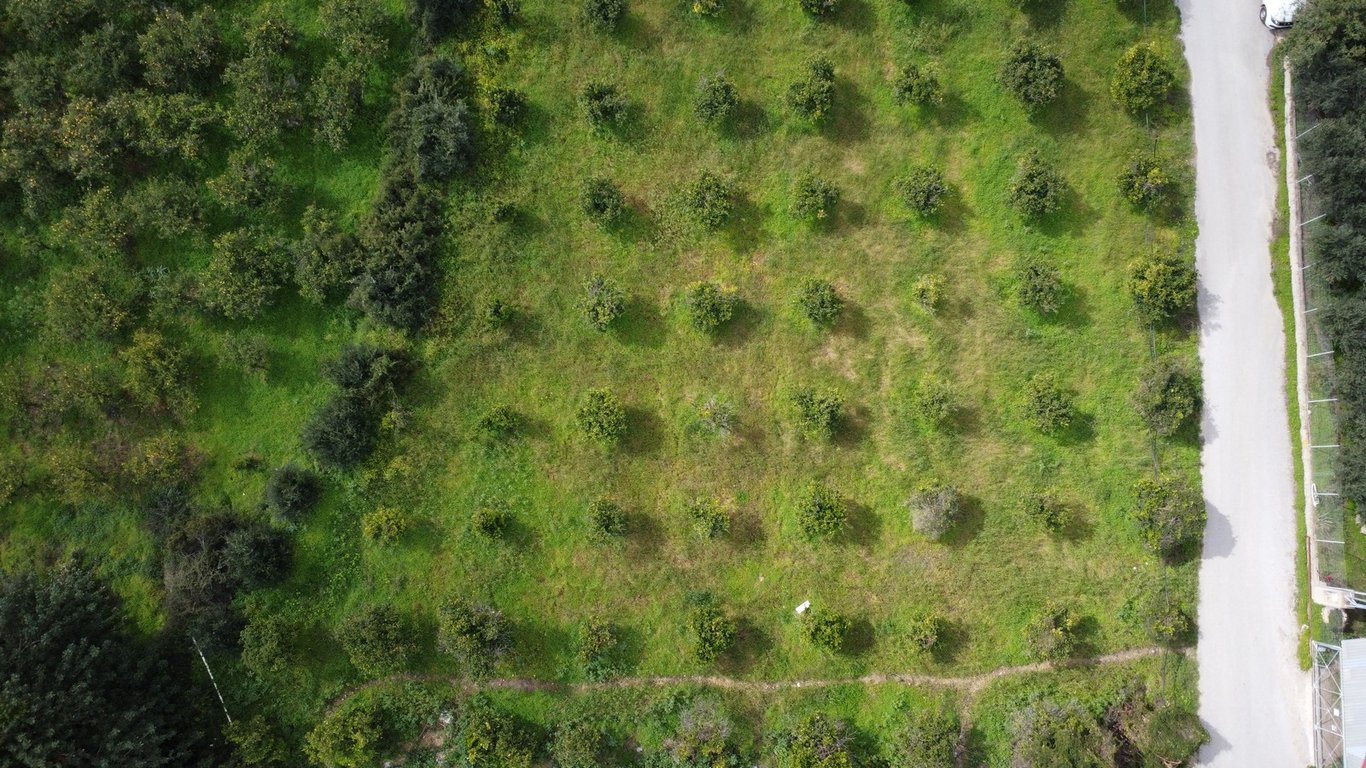 House in Modi - Image 2