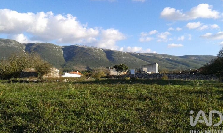 Land in Aljubarrota - view 1