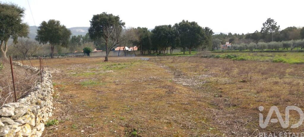 Land in Aljubarrota - Image 3