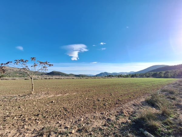 Land in Cavafria - view 1