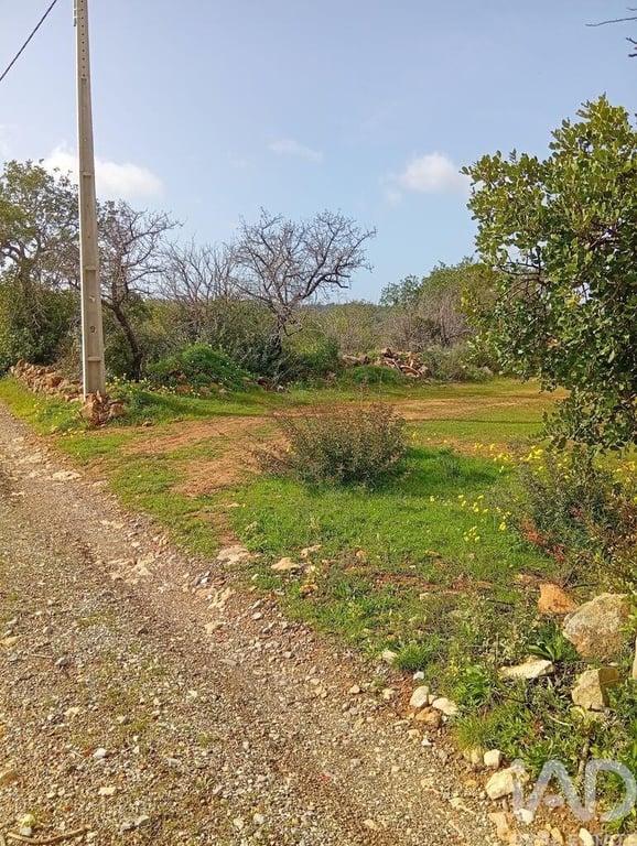 Land in Estoi - Image 3