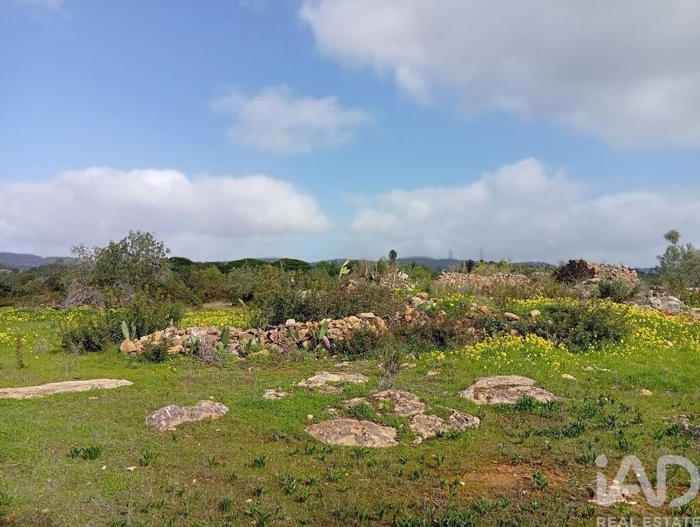 Land in Estoi - Image 2