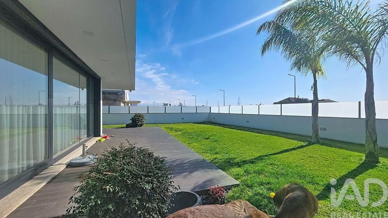 House in Avanca - view 1