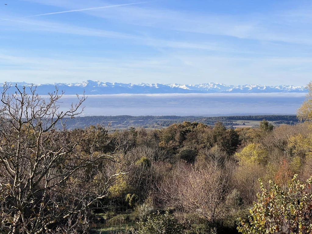 House in Brousses-et-Villaret - Image 2