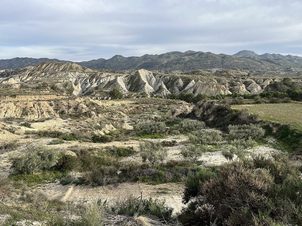 House in El Tolle - view 1
