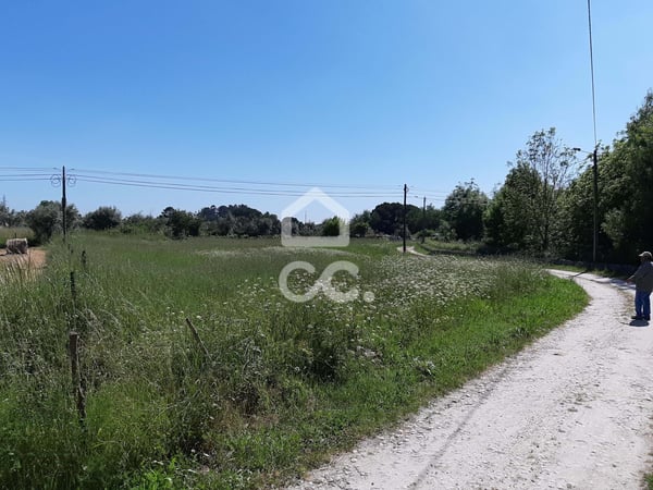 Land in Canas de Senhorim - view 1