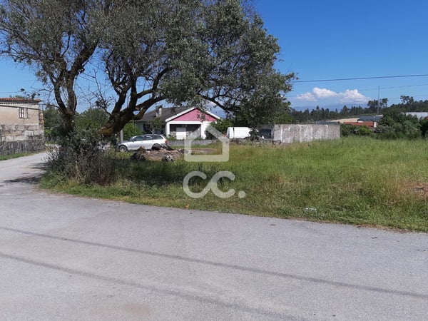 Land in Canas de Senhorim - view 1