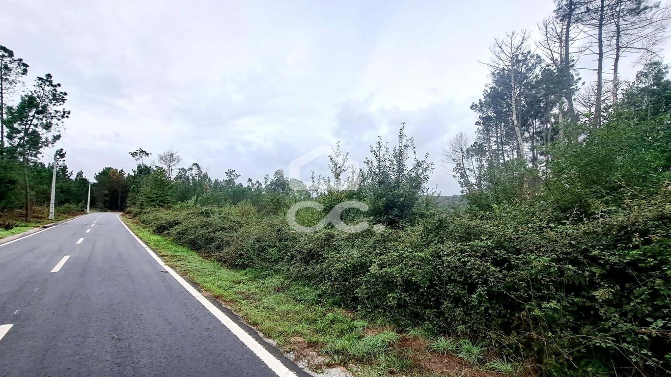 Land in Vilar do Monte - Image 3