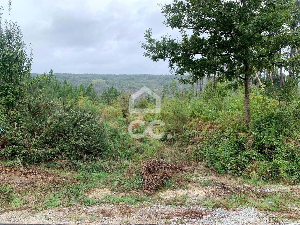 Land in Vilar do Monte - Image 2