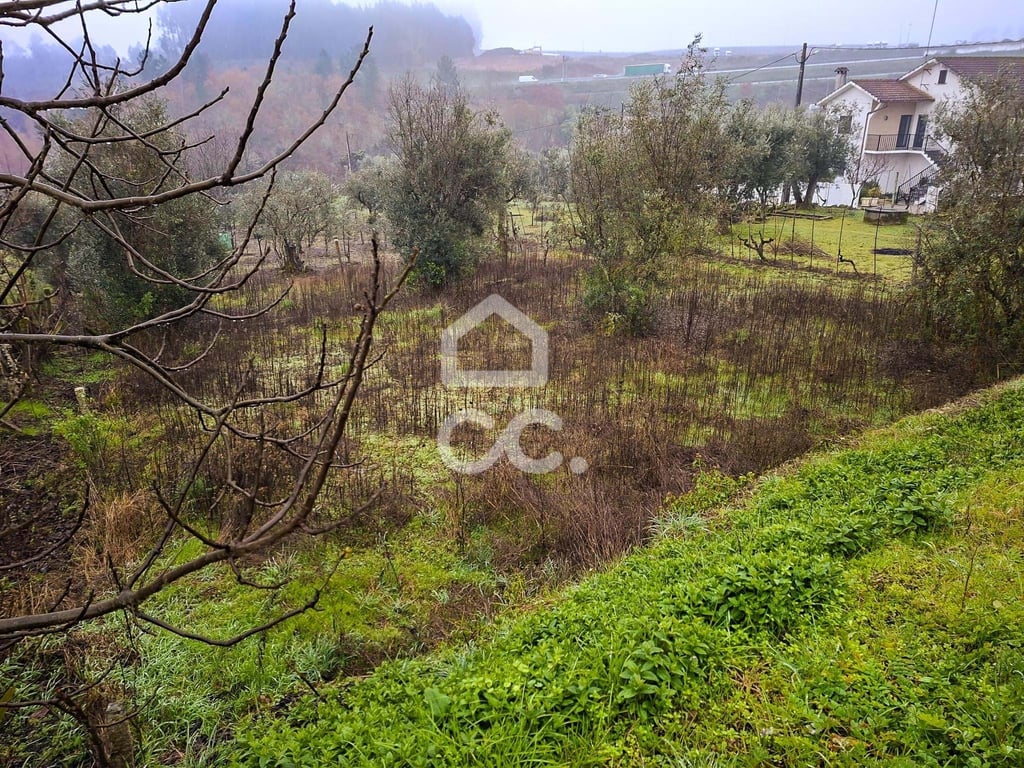 Land in Fragosela - Image 2