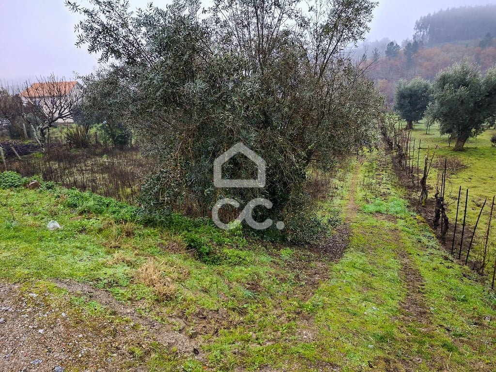 Land in Fragosela - Image 3