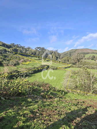 Land in Sao Sebastiao - view 1