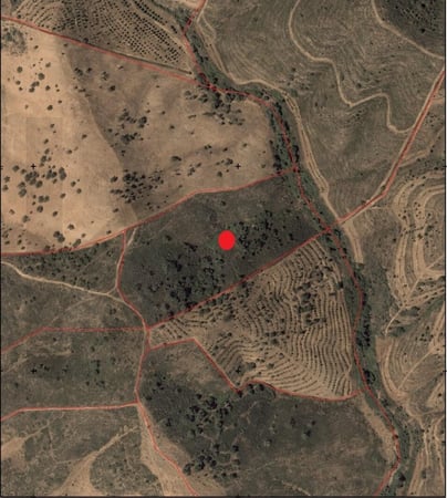 Land in Santa Ana da Serra - view 1