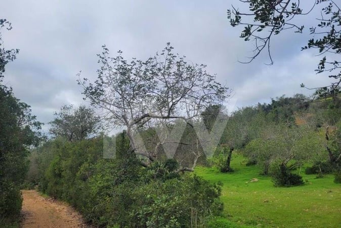 Land in Aroal - view 1