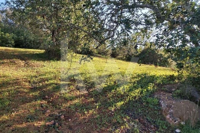 Land in Boliqueime - view 1