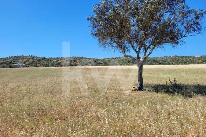 Land in Assumadas de Algoz - view 1