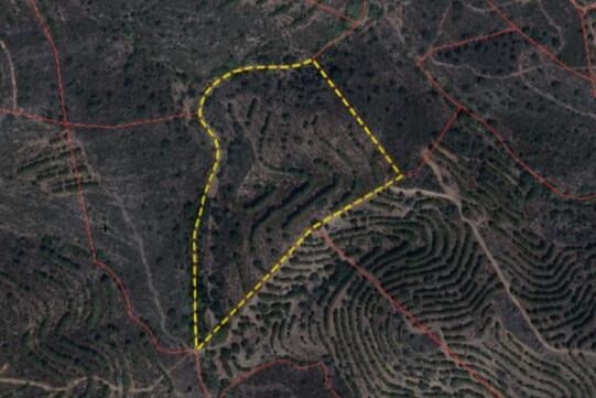 Land in Pereiro - view 1