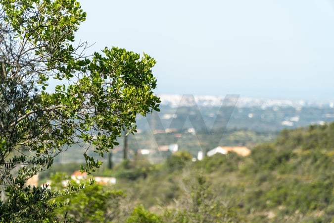 Land in Estoi - view 1