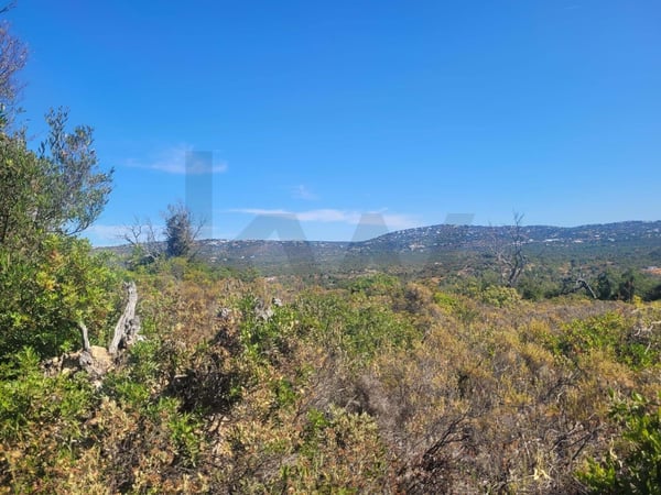 Land in Canos - view 1