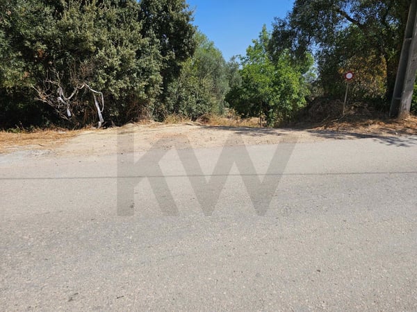 Land in Momprole - view 1