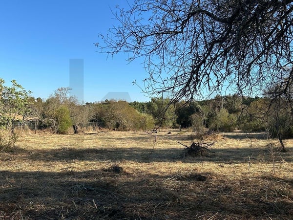 Land in Algoz - view 1