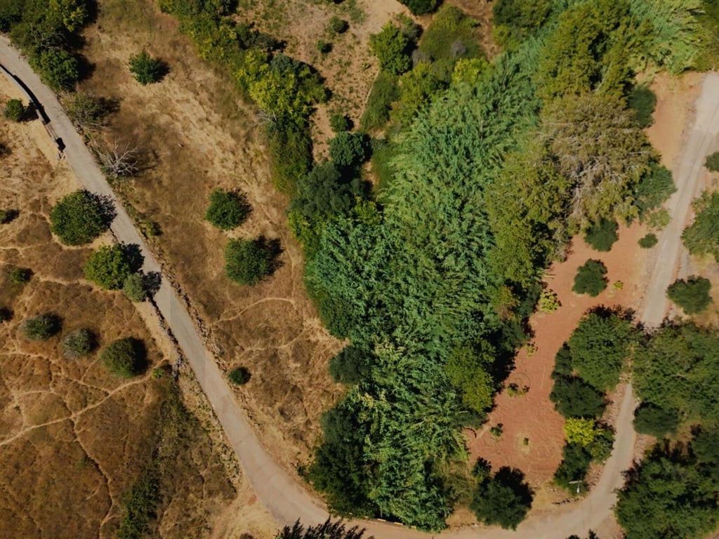 Land in Portela - Image 3