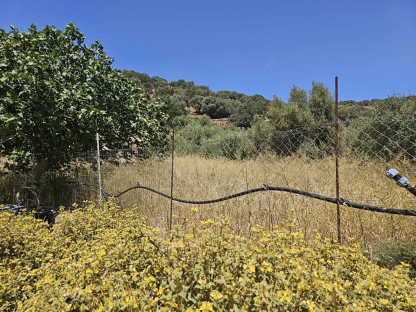 House in Agios Nikolaos - view 1
