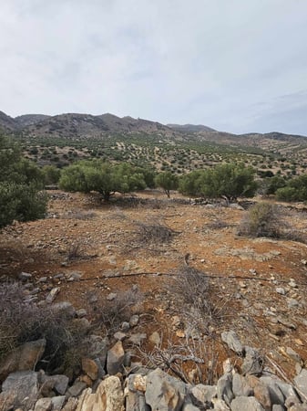 House in Agios Nikolaos - view 1