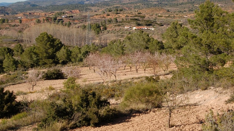 Land in Teresa de Cofrentes - view 1