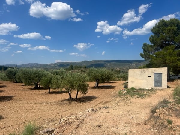 Farm, Ranch or Equestrian in Zarra - view 1
