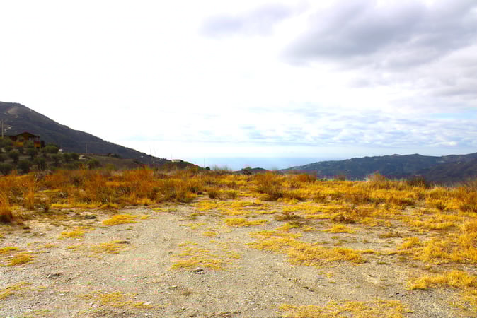 Land in Jete - view 1