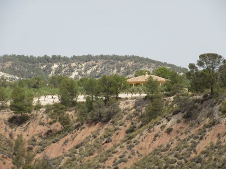 Land in El Berro - Image 3