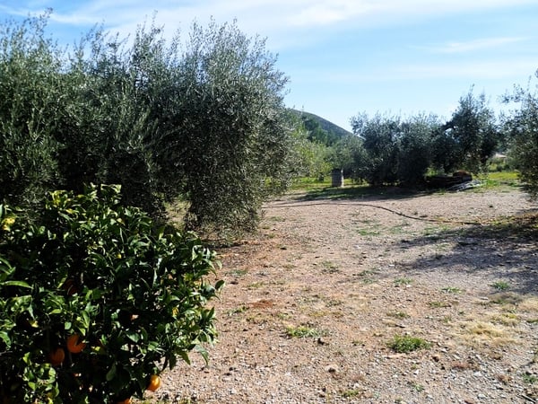 Land in La Alameda - view 1