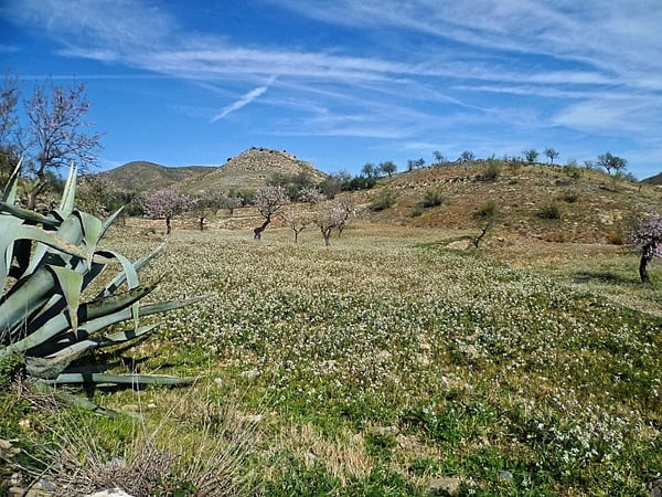 Land in La Alameda - view 1