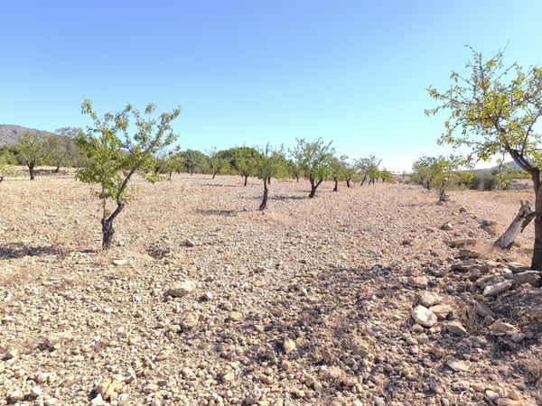 Land in Canadas de Don Ciro - view 1