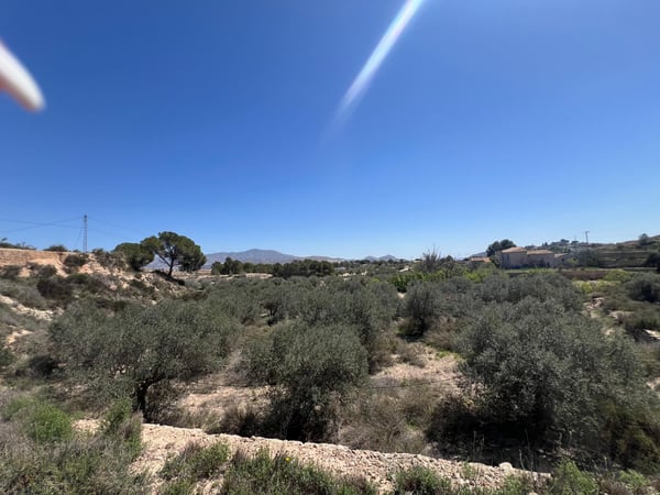 Land in Monovar - view 1