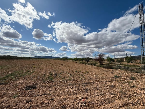 Land in Pinoso - view 1