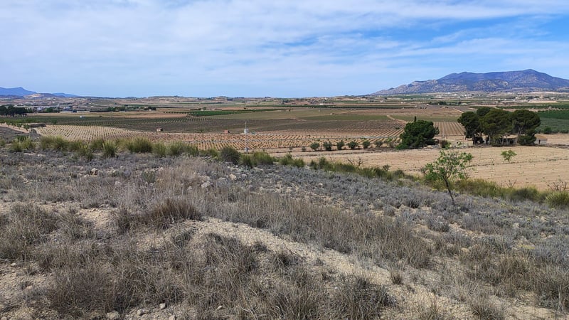 Land in Pinoso - view 1