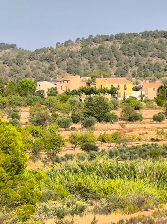 House in Pinoso - view 1