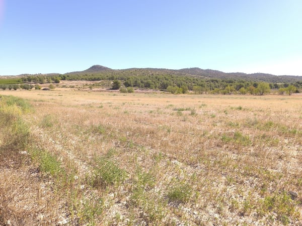 Land in Canadas de Don Ciro - view 1