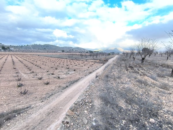 Land in Pinoso - view 1