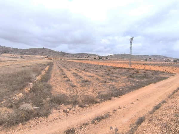 Land in Pinoso - view 1