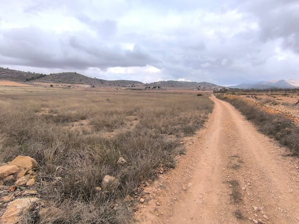 Land in Pinoso - view 1