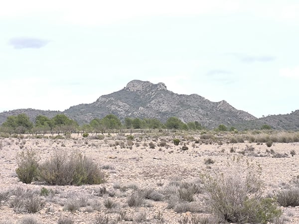 Land in Salinas - view 1